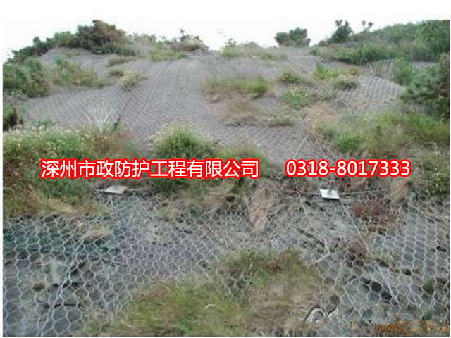 桂林六角护坡网